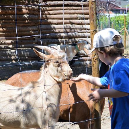 Casa Das Palmeiras-Pedagogic Farm Mangualde Esterno foto