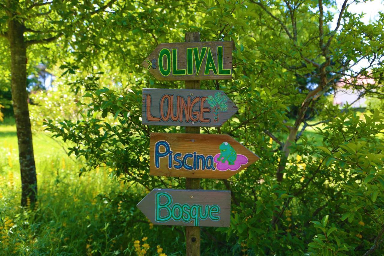 Casa Das Palmeiras-Pedagogic Farm Mangualde Esterno foto