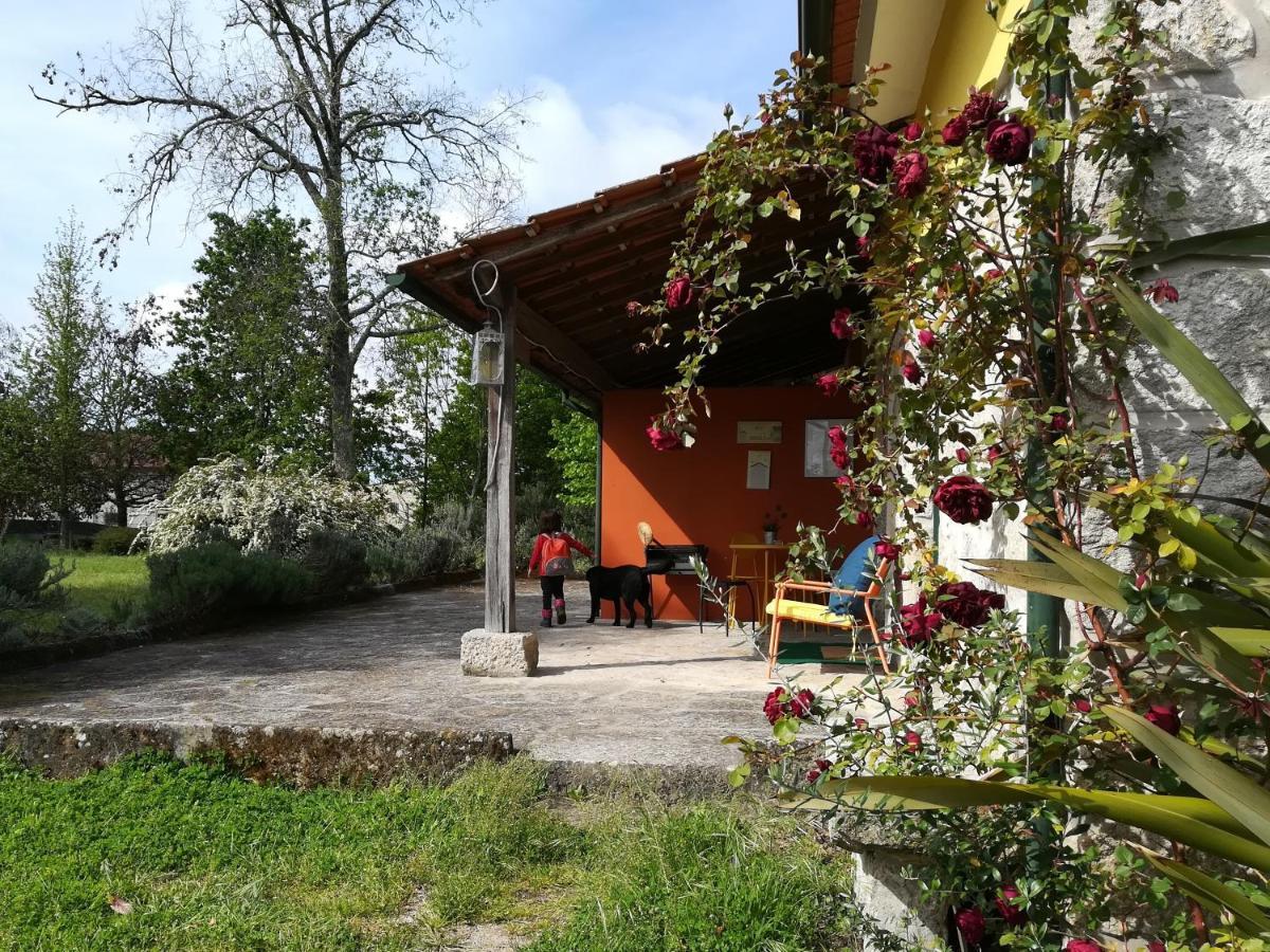 Casa Das Palmeiras-Pedagogic Farm Mangualde Esterno foto