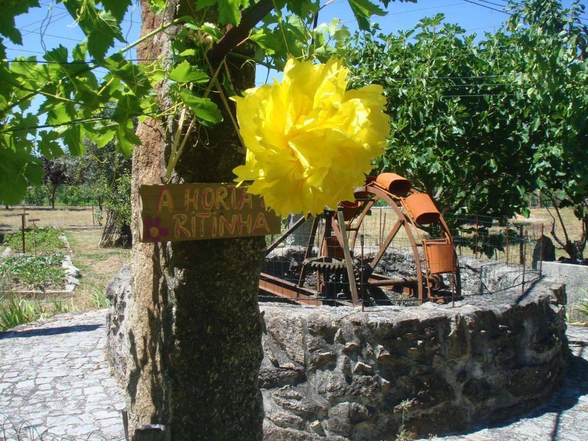 Casa Das Palmeiras-Pedagogic Farm Mangualde Esterno foto