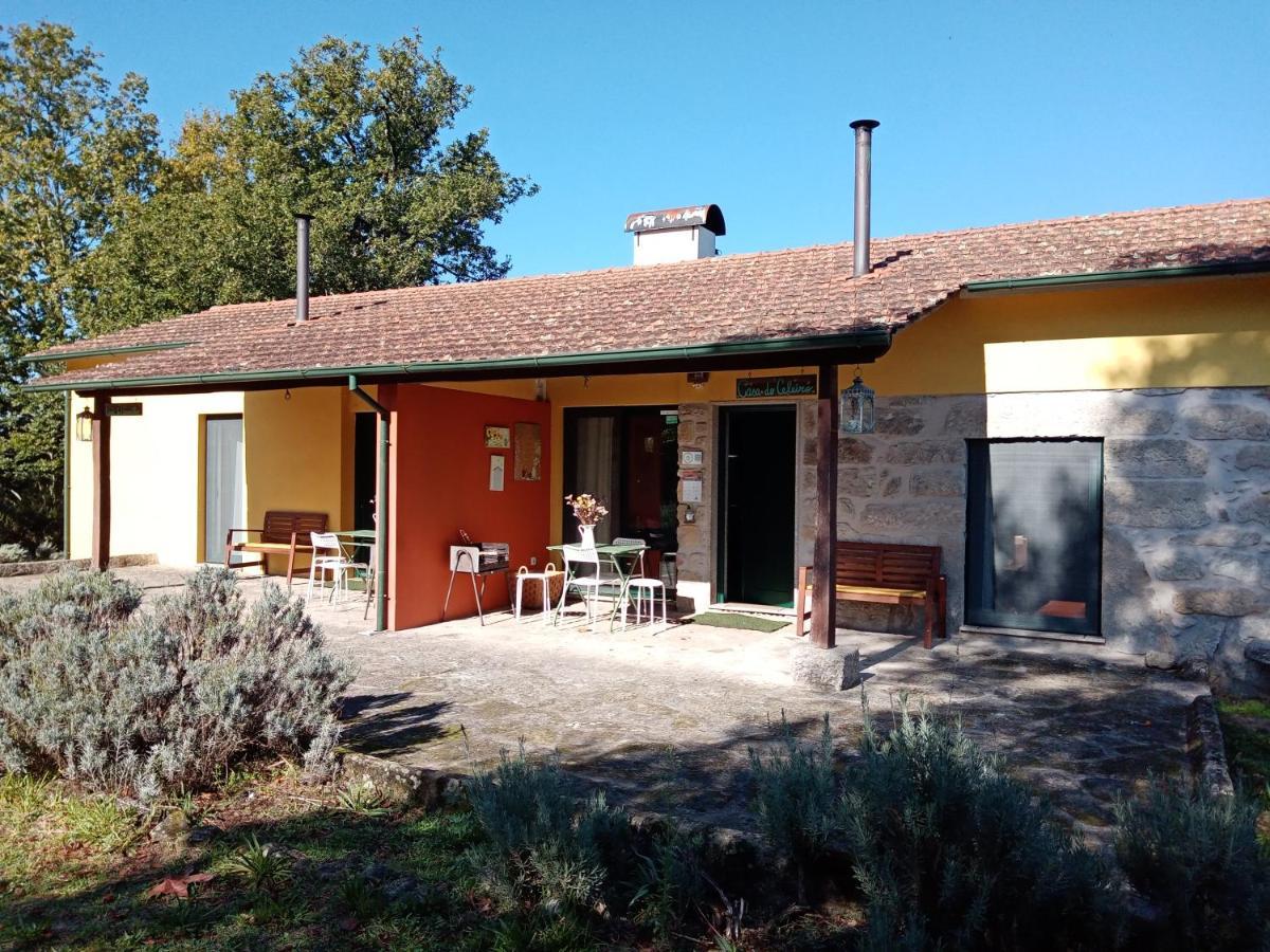 Casa Das Palmeiras-Pedagogic Farm Mangualde Esterno foto