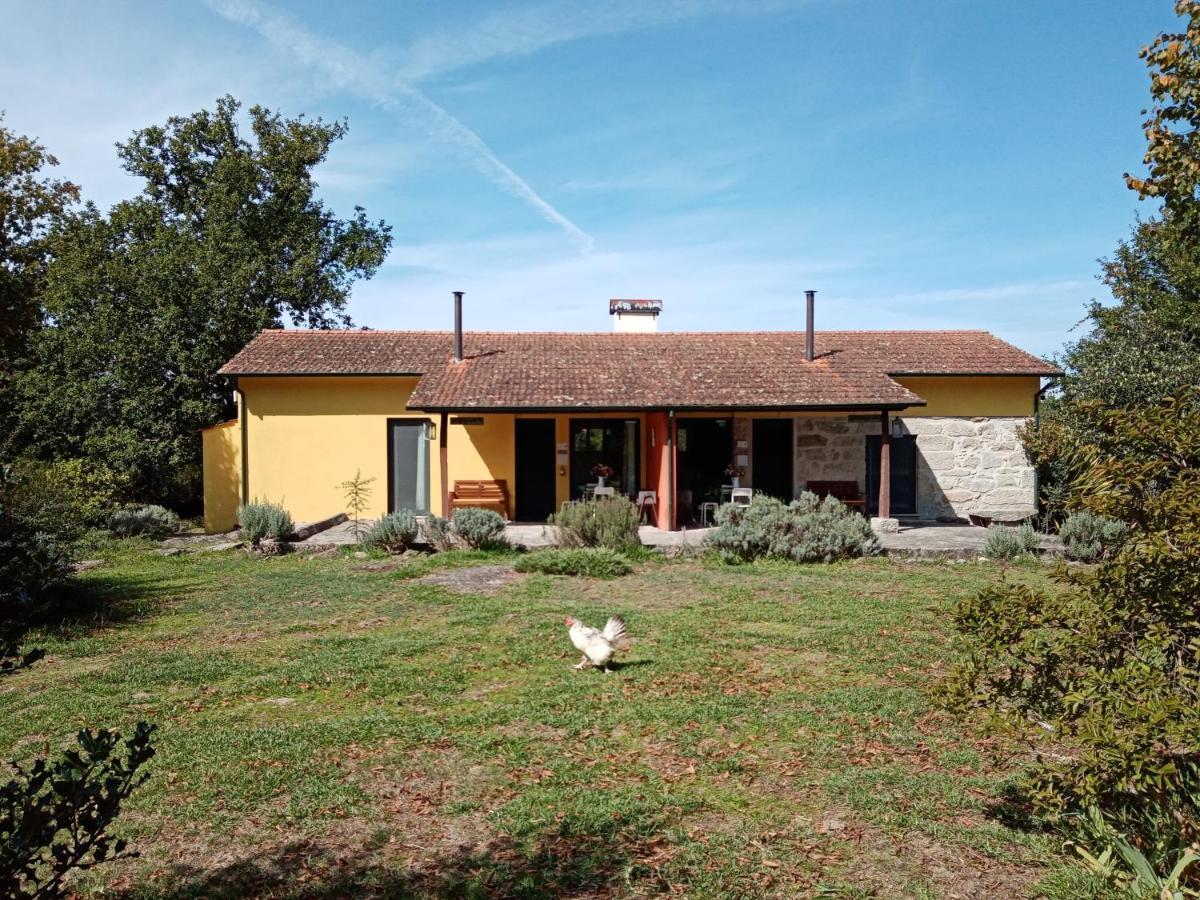 Casa Das Palmeiras-Pedagogic Farm Mangualde Esterno foto