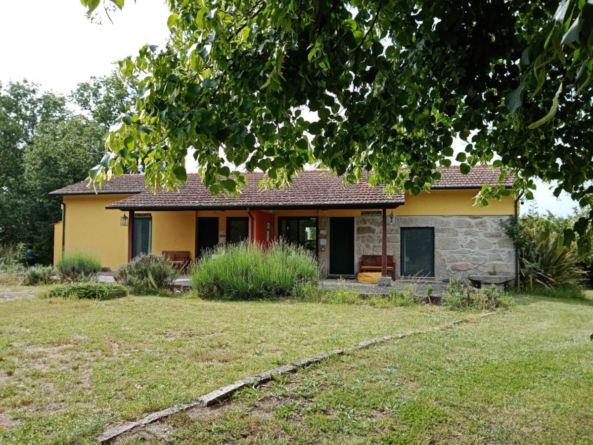 Casa Das Palmeiras-Pedagogic Farm Mangualde Esterno foto
