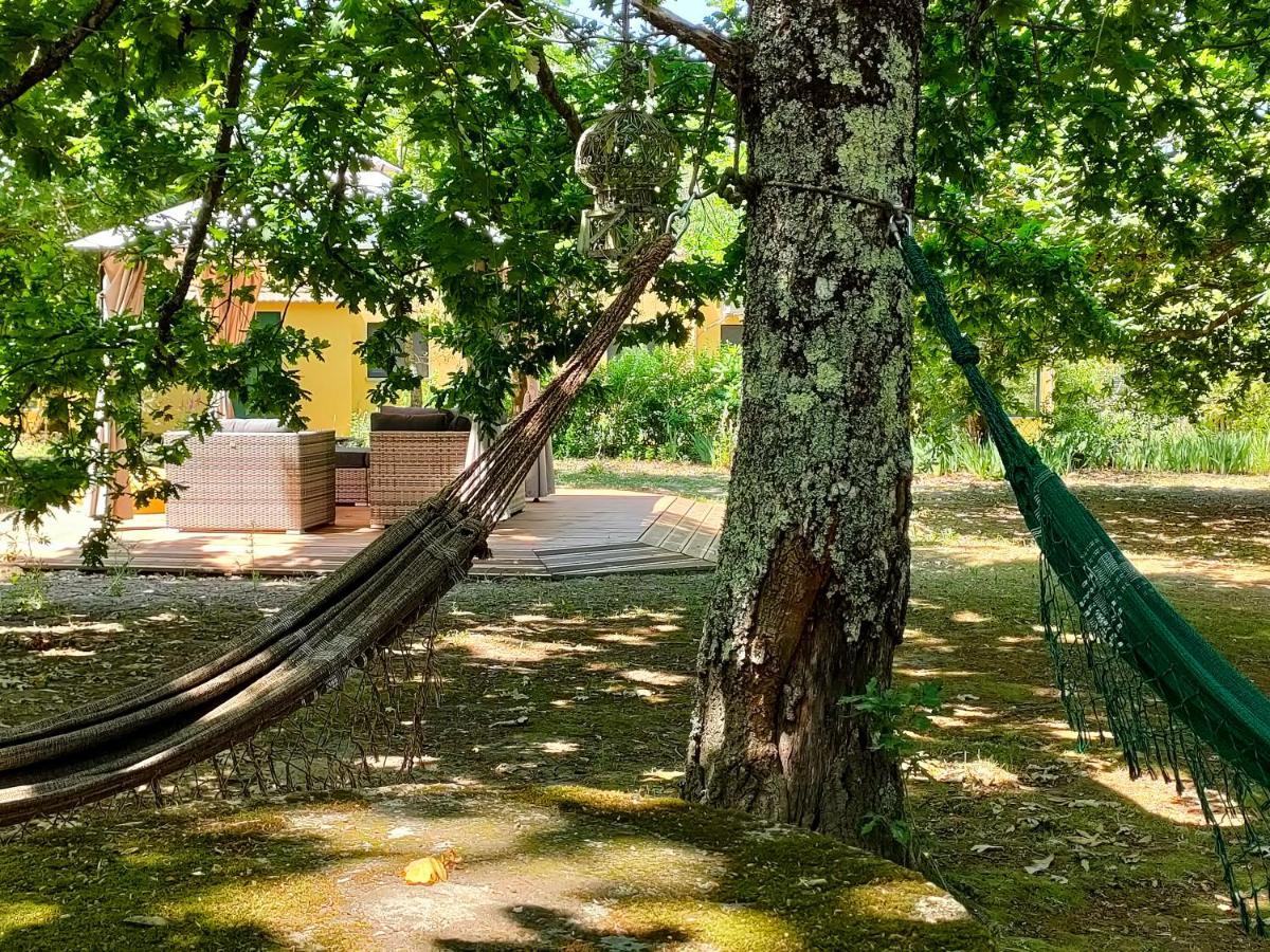 Casa Das Palmeiras-Pedagogic Farm Mangualde Esterno foto