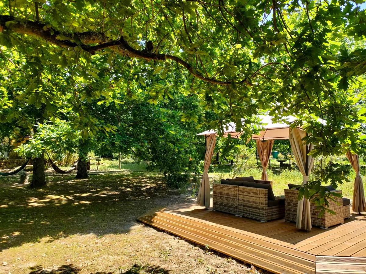 Casa Das Palmeiras-Pedagogic Farm Mangualde Esterno foto