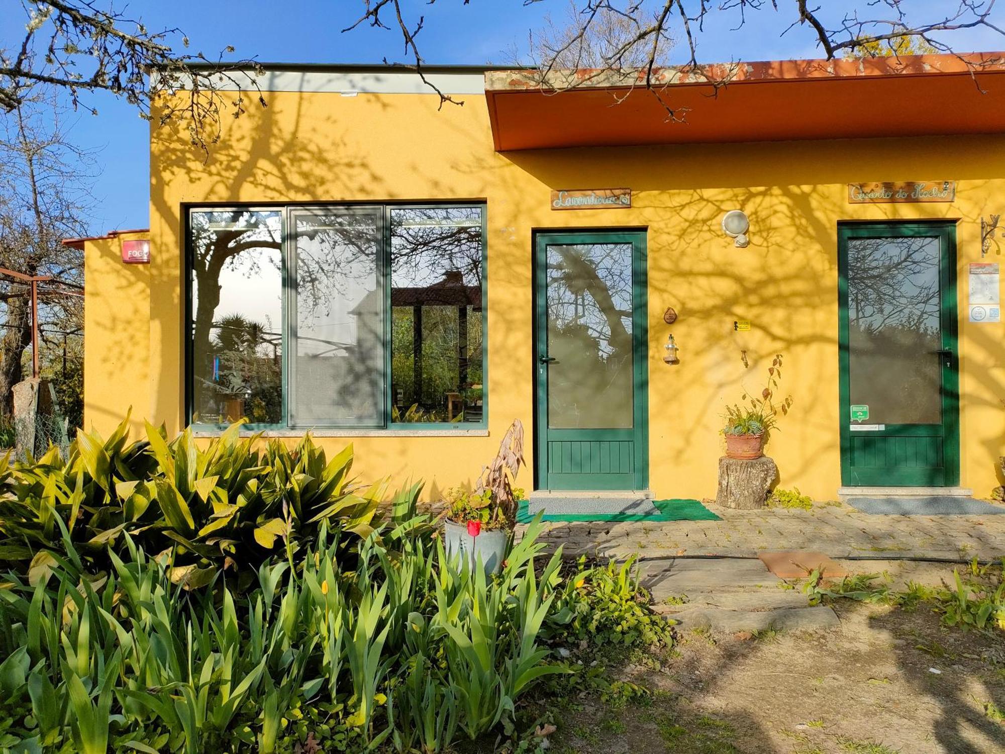 Casa Das Palmeiras-Pedagogic Farm Mangualde Camera foto