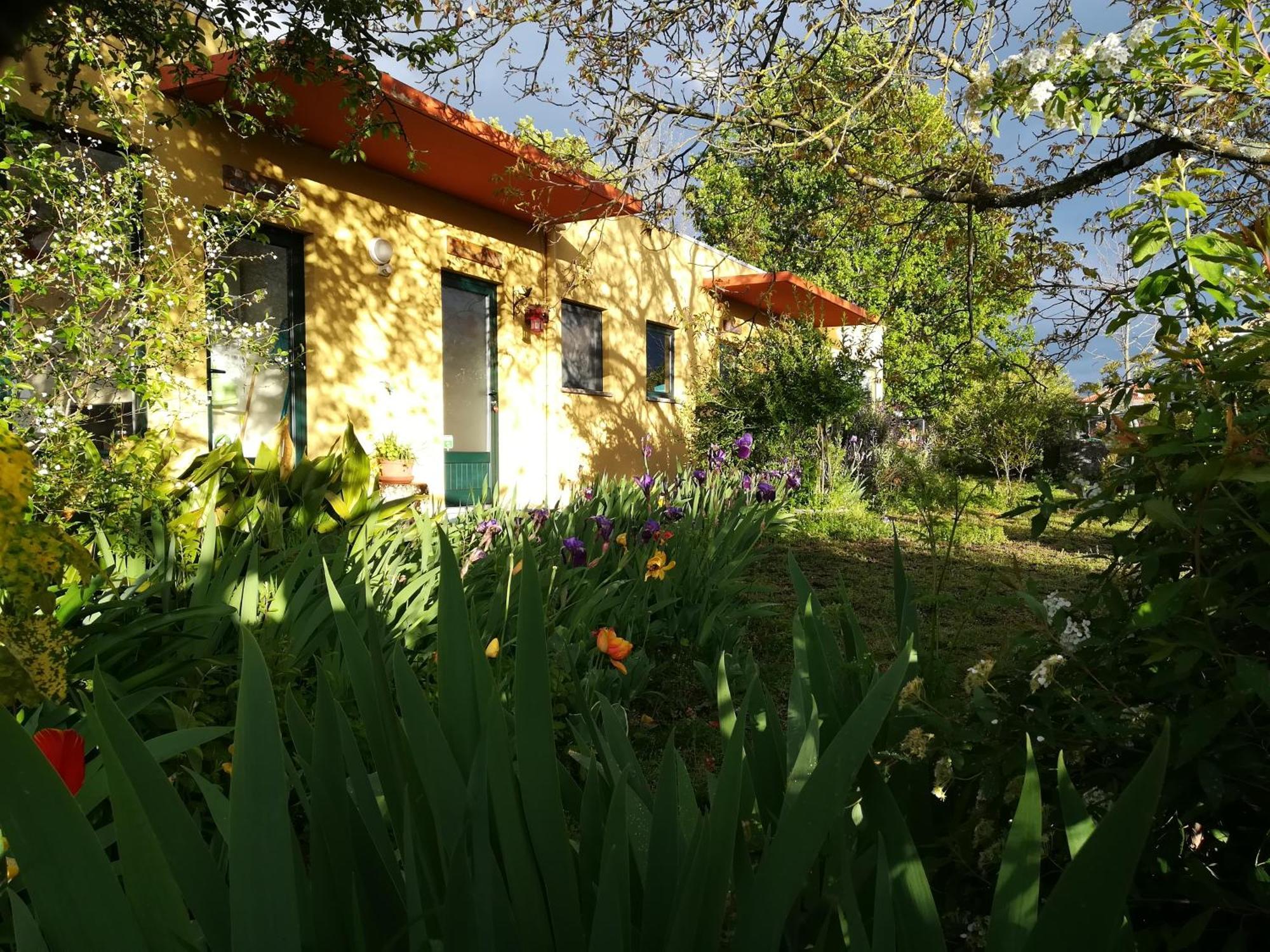 Casa Das Palmeiras-Pedagogic Farm Mangualde Camera foto