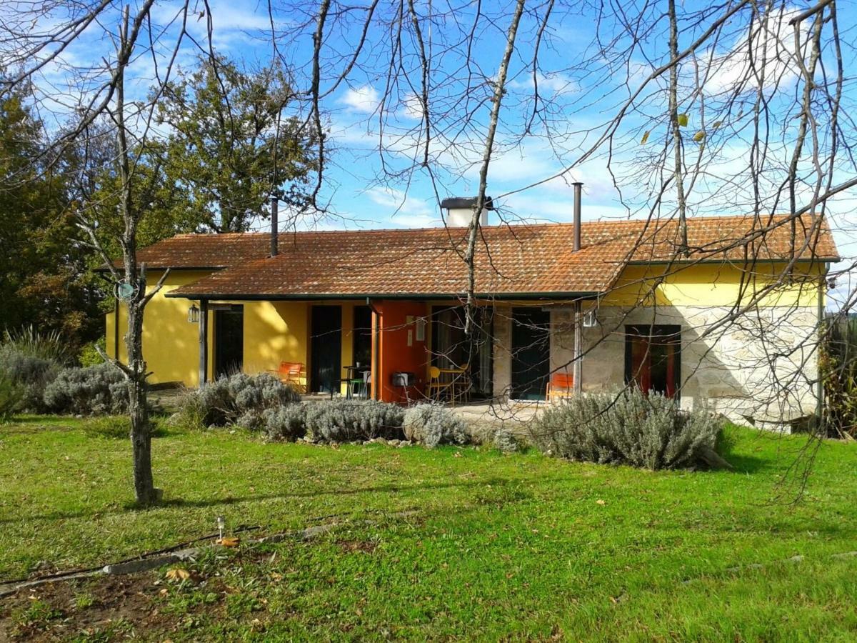 Casa Das Palmeiras-Pedagogic Farm Mangualde Esterno foto