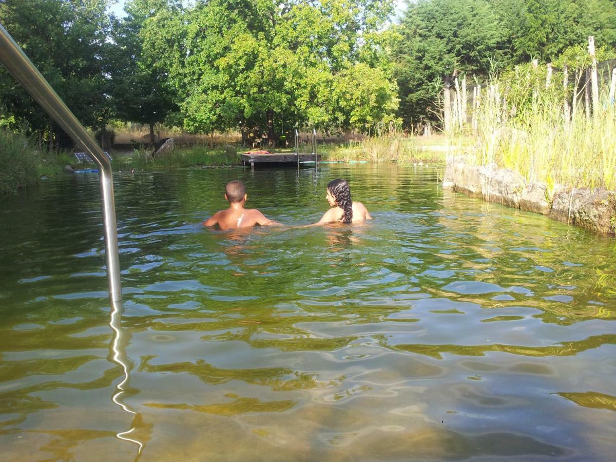 Casa Das Palmeiras-Pedagogic Farm Mangualde Esterno foto