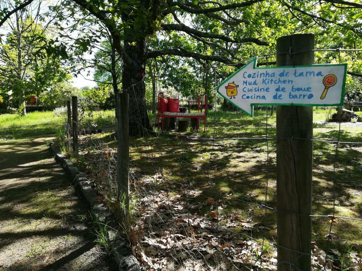 Casa Das Palmeiras-Pedagogic Farm Mangualde Esterno foto